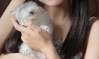 在这里，在线导航带你直达51吃瓜爆料，畅游精彩吃瓜世界