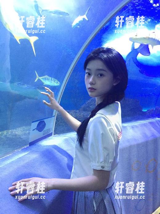 51吃瓜 今日吃瓜必吃,看51吃瓜网站如何带你领略八卦世界!