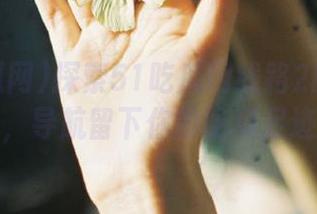 探索51吃瓜网线路2的无限可能，导航留下你的吃瓜足迹！
