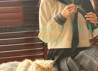 吃瓜17cg官网下载官方客户端详细教程