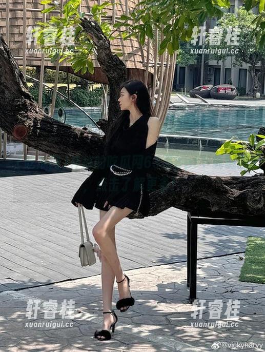 神秘的吃瓜网63页ppt下载链接，点击了解更多！