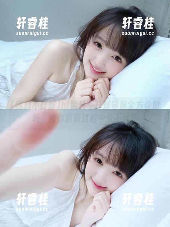 hl黑料不打烊导航全方位解析，助你扒料过程中永不迷路