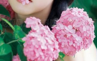 黑料吃瓜网址大全下载神器，热门资源一网打尽
